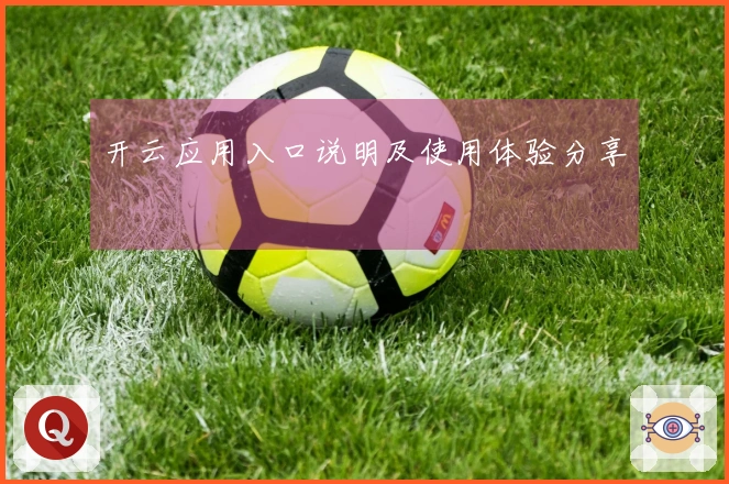 开云应用入口说明及使用体验分享