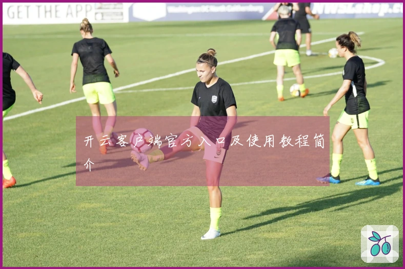 开云客户端官方入口及使用教程简介
